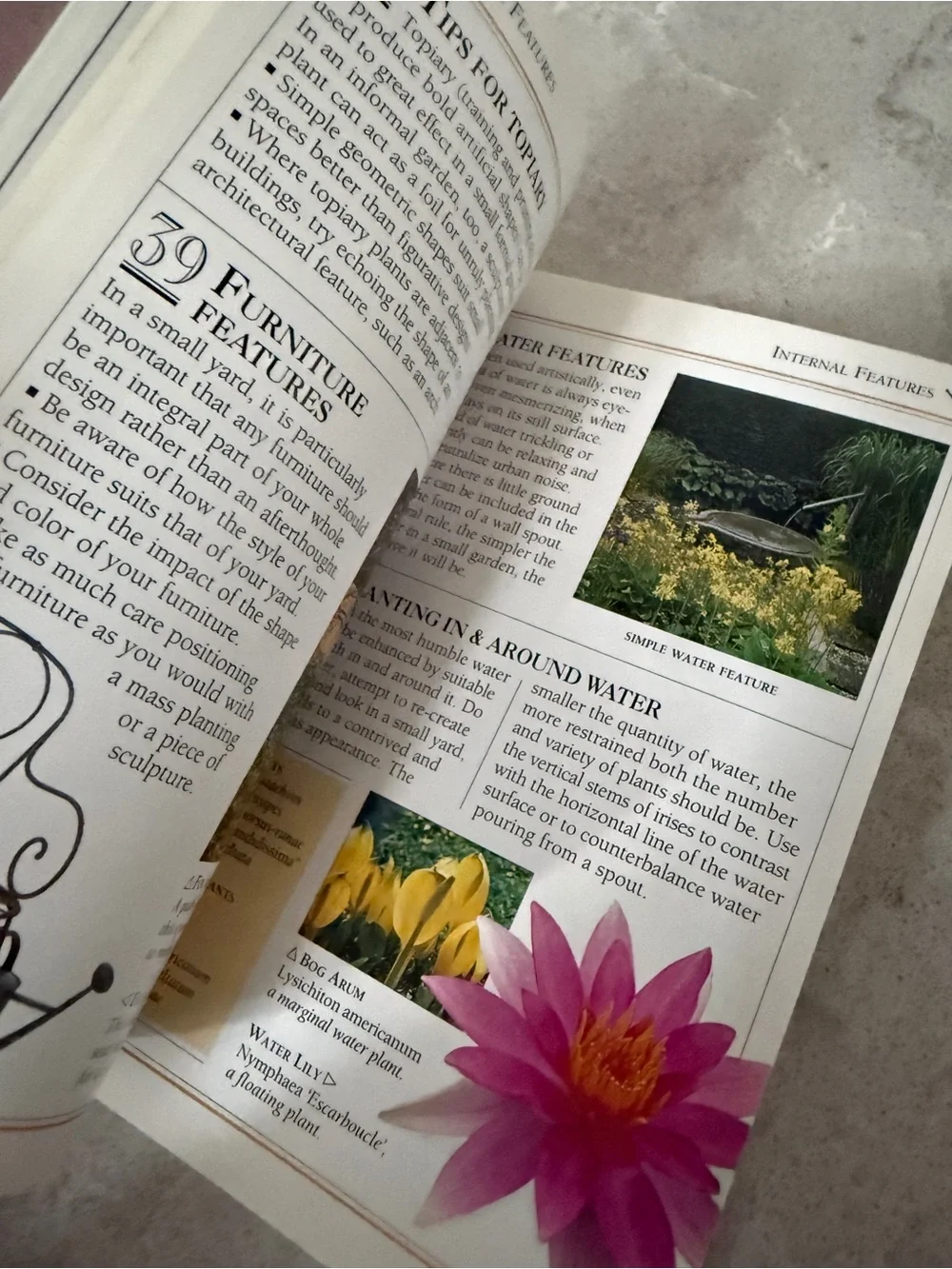 First edition 101 Essential Tips Planning a Small Yard - Green gardening book